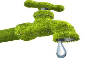 Green Plumbing: How to Make Your Plumbing More Eco-Friendly