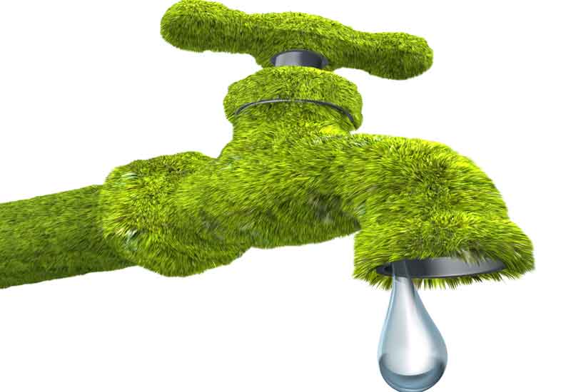 Green Plumbing: How to Make Your Plumbing More Eco-Friendly