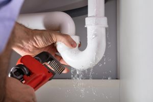 The Green Plumbing Movement: How it Can Save You Money