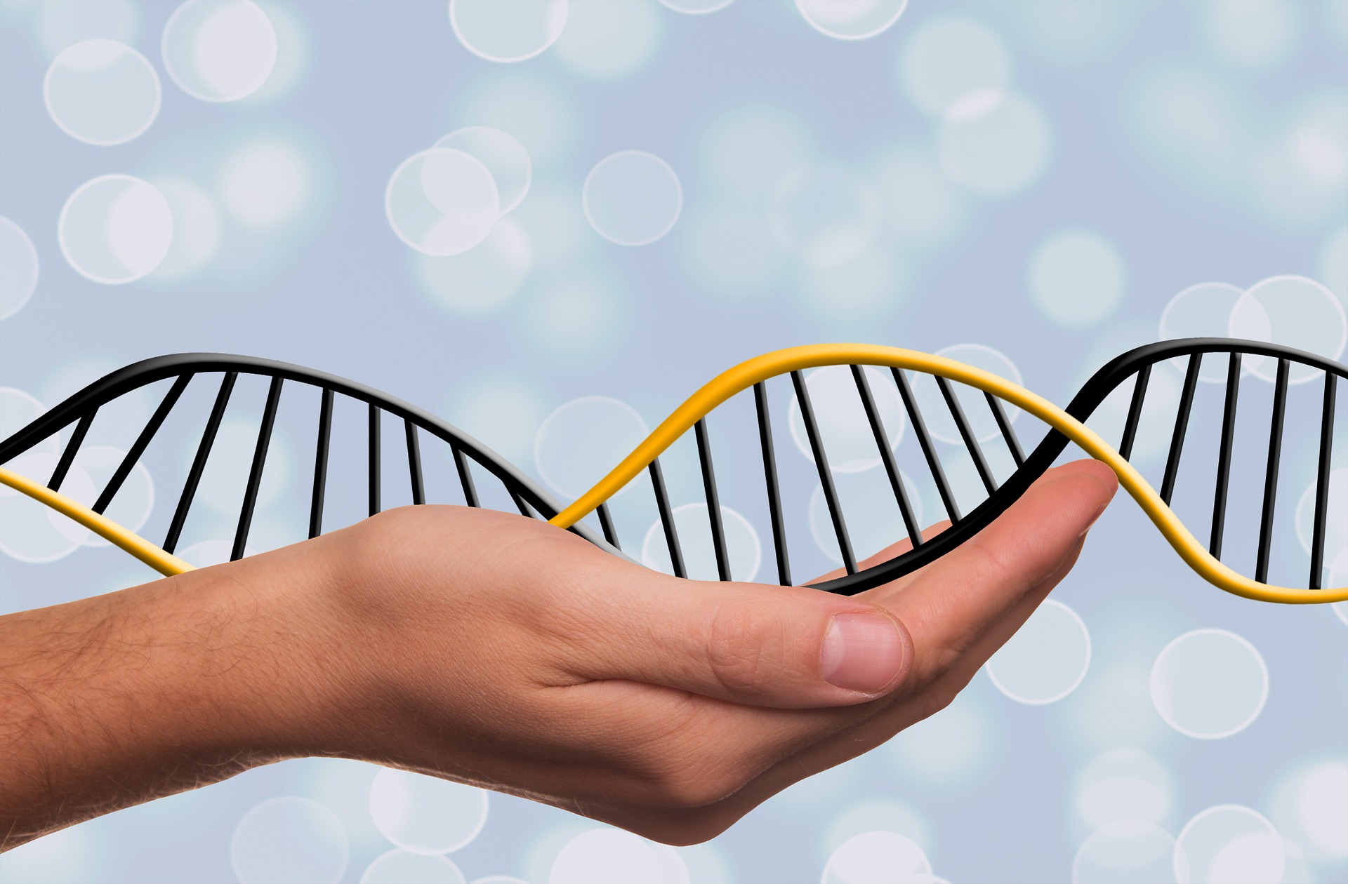 The Role of Genetics in Functional Medicine