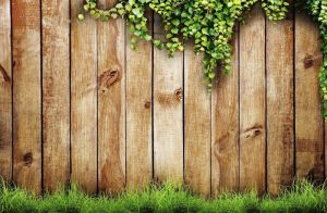 How to Choose the Right Wood for Your Fence