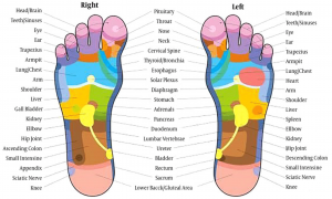 Understanding Reflexology