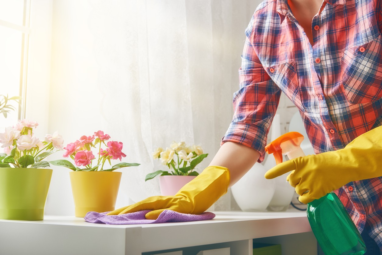 Spring Cleaning Services: Get Your Home Ready for the Season