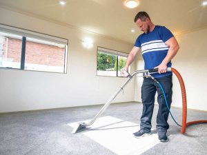 The Benefits of Carpet Cleaning for Pest Control