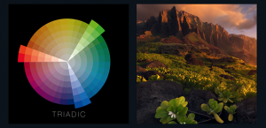 The Colors of the Earth: Exploring Color Theory in Landscape Painting