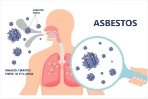 Asbestos and Its Role in Public Health