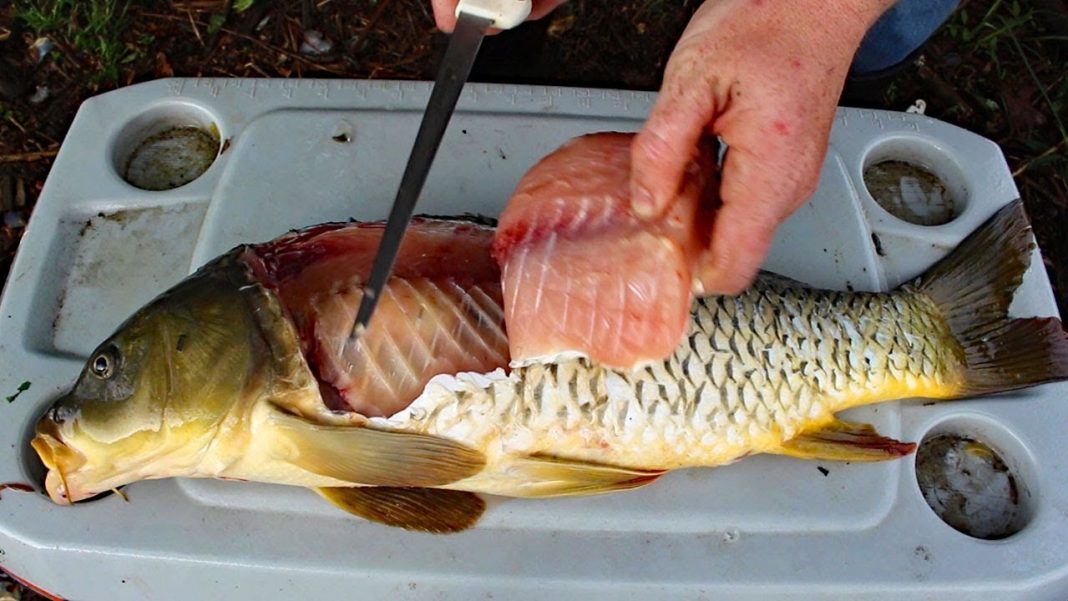 The Best Way to Clean Your Carp